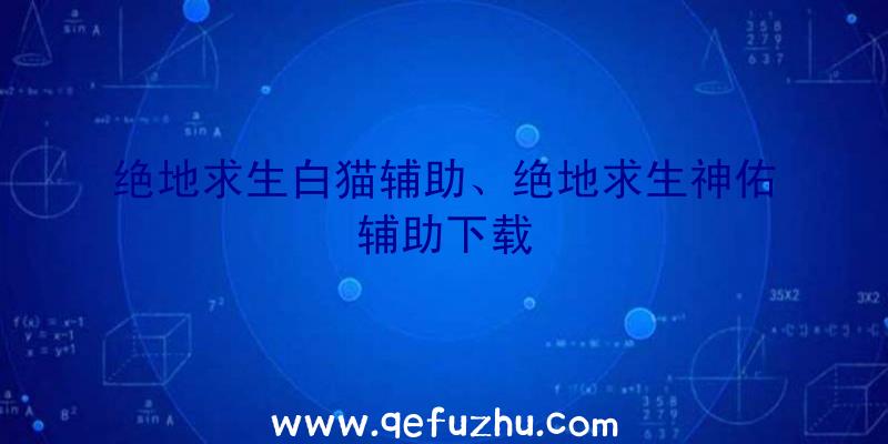 绝地求生白猫辅助、绝地求生神佑辅助下载