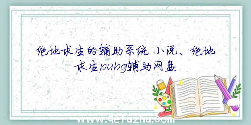 绝地求生的辅助系统