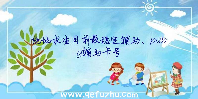 绝地求生目前最稳定辅助、pubg辅助卡号