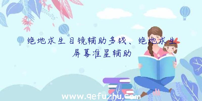绝地求生目镜辅助多钱、绝地求生屏幕准星辅助