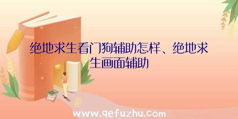 绝地求生看门狗辅助怎样、绝地求生画面辅助