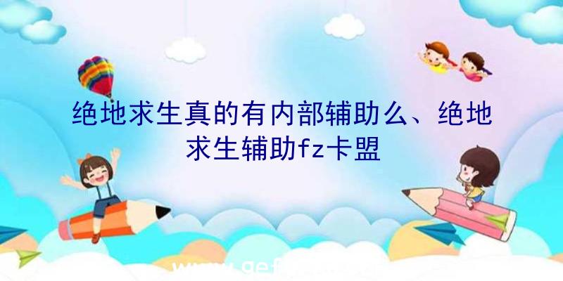 绝地求生真的有内部辅助么、绝地求生辅助fz卡盟