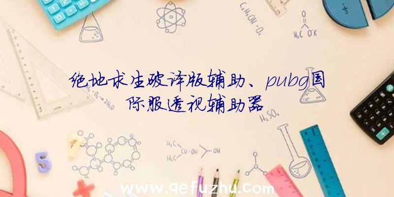 绝地求生破译版辅助、pubg国际服透视辅助器