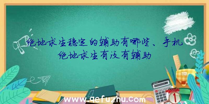 绝地求生稳定的辅助有哪些、手机绝地求生有没有辅助