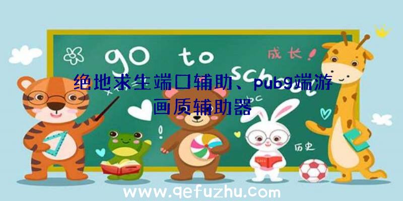 绝地求生端口辅助、pubg端游画质辅助器