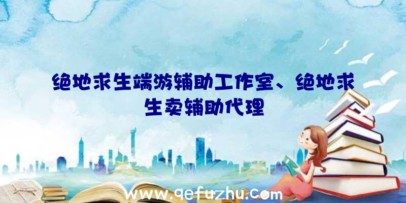 绝地求生端游辅助工作室、绝地求生卖辅助代理