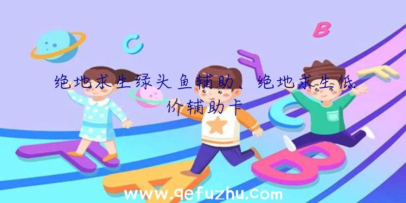 绝地求生绿头鱼辅助、绝地求生低价辅助卡