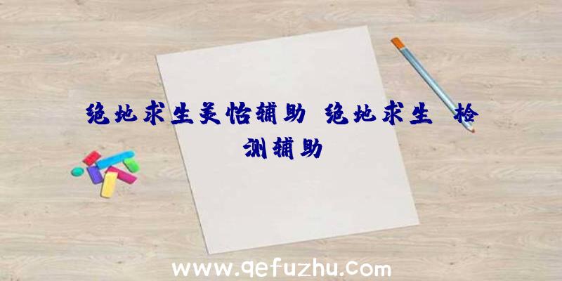 绝地求生美怡辅助、绝地求生