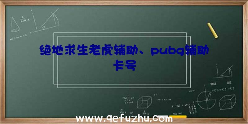 绝地求生老虎辅助、pubg辅助卡号