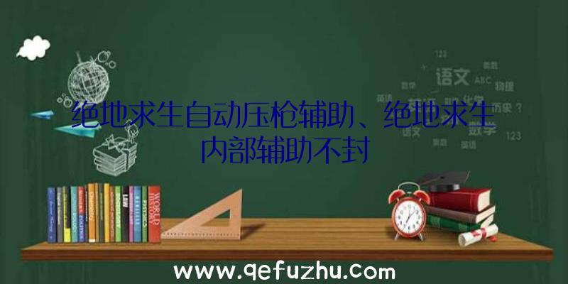 绝地求生自动压枪辅助、绝地求生内部辅助不封