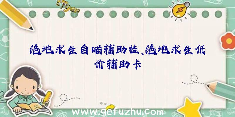绝地求生自瞄辅助挂、绝地求生低价辅助卡