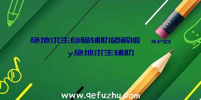 绝地求生自瞄辅助破解版、xray绝地求生辅助