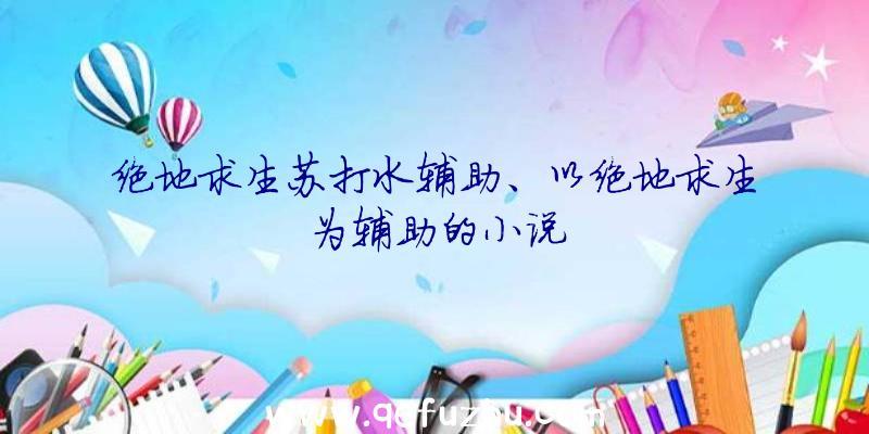 绝地求生苏打水辅助、以绝地求生为辅助的小说