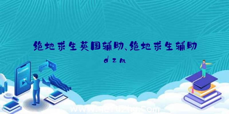 绝地求生英国辅助、绝地求生辅助dzm