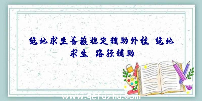 绝地求生蔷薇稳定辅助外挂、绝地求生