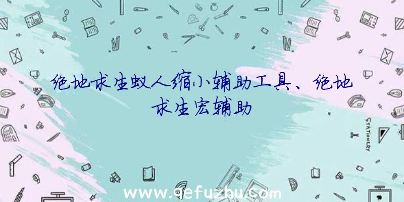 绝地求生蚁人缩小辅助工具、绝地求生宏辅助