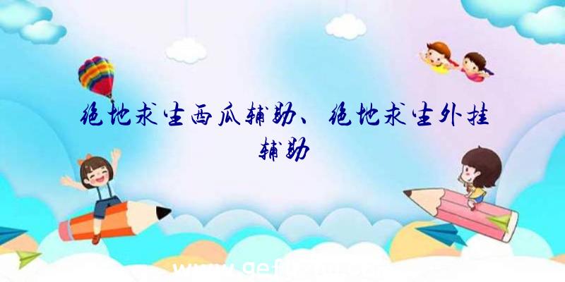 绝地求生西瓜辅助、绝地求生外挂辅助