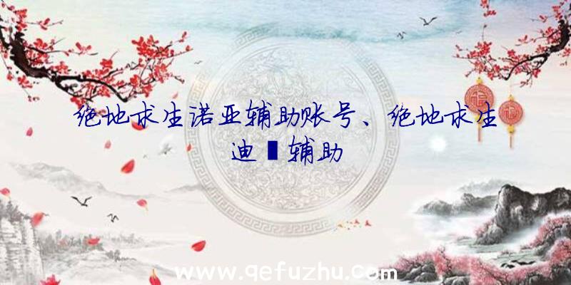 绝地求生诺亚辅助账号、绝地求生迪迦辅助
