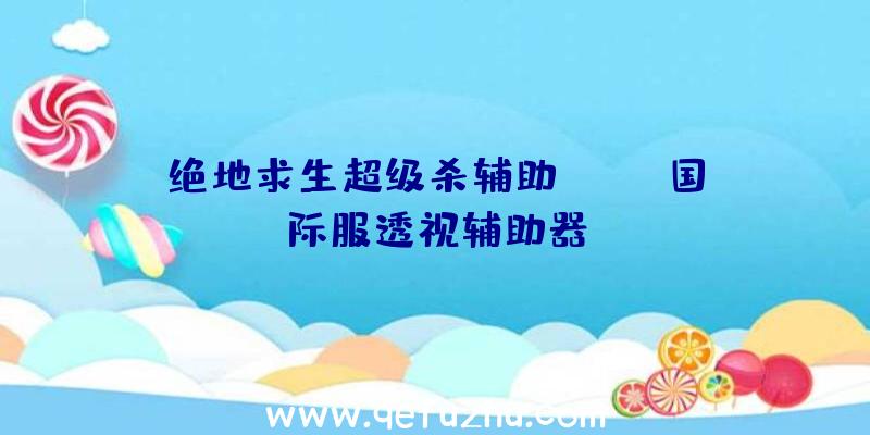 绝地求生超级杀辅助、pubg国际服透视辅助器