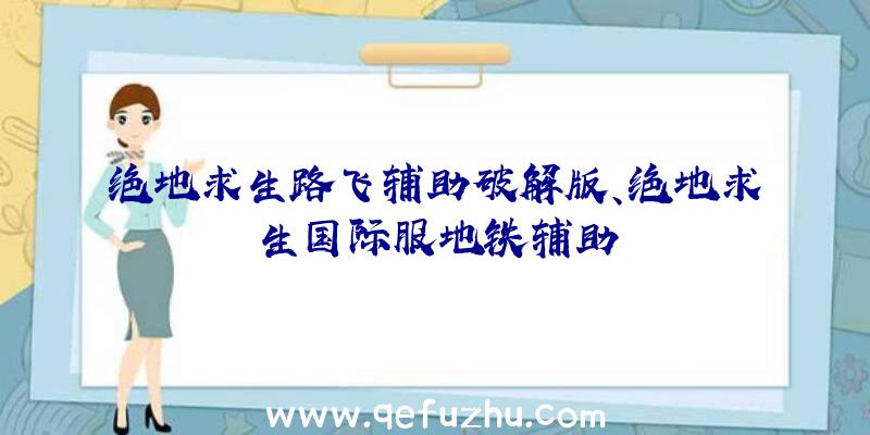 绝地求生路飞辅助破解版、绝地求生国际服地铁辅助