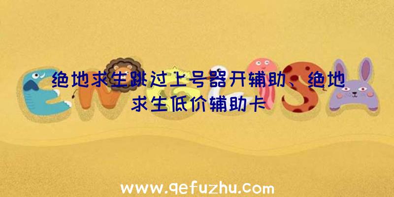 绝地求生跳过上号器开辅助、绝地求生低价辅助卡