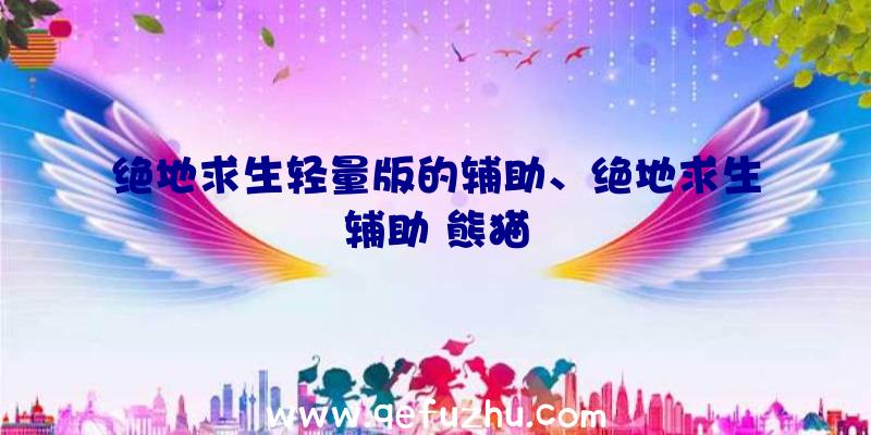 绝地求生轻量版的辅助、绝地求生辅助
