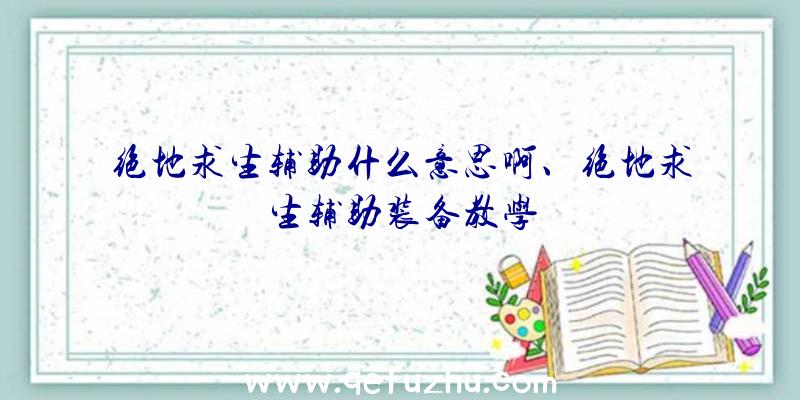 绝地求生辅助什么意思啊、绝地求生辅助装备教学