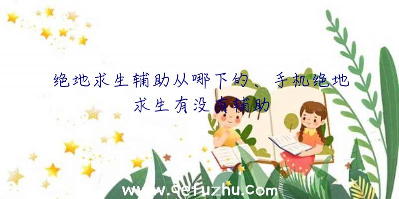 绝地求生辅助从哪下的、手机绝地求生有没有辅助