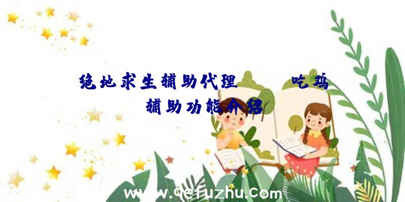 绝地求生辅助代理、pubg吃鸡辅助功能介绍