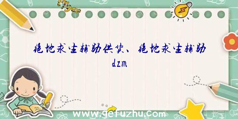 绝地求生辅助供货、绝地求生辅助dzm