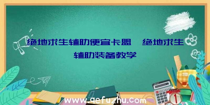 绝地求生辅助便宜卡盟、绝地求生辅助装备教学