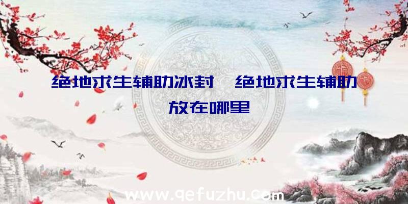 绝地求生辅助冰封、绝地求生辅助
