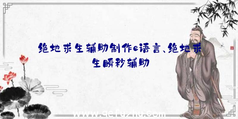 绝地求生辅助制作e语言、绝地求生瞬秒辅助