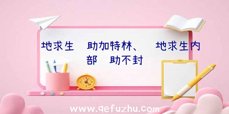 绝地求生辅助加特林、绝地求生内部辅助不封