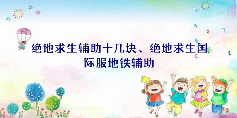 绝地求生辅助十几块、绝地求生国际服地铁辅助