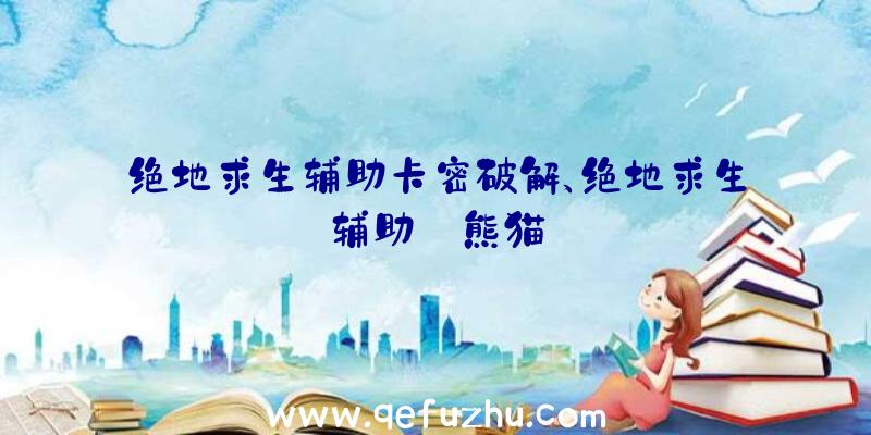 绝地求生辅助卡密破解、绝地求生辅助