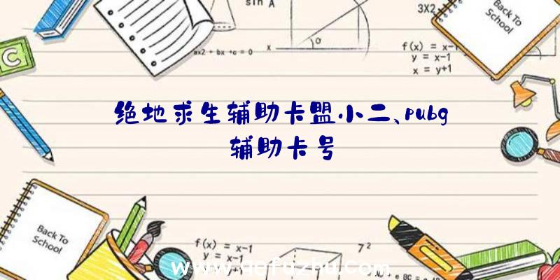 绝地求生辅助卡盟小二、pubg辅助卡号