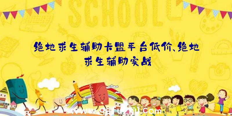 绝地求生辅助卡盟平台低价、绝地求生辅助实战