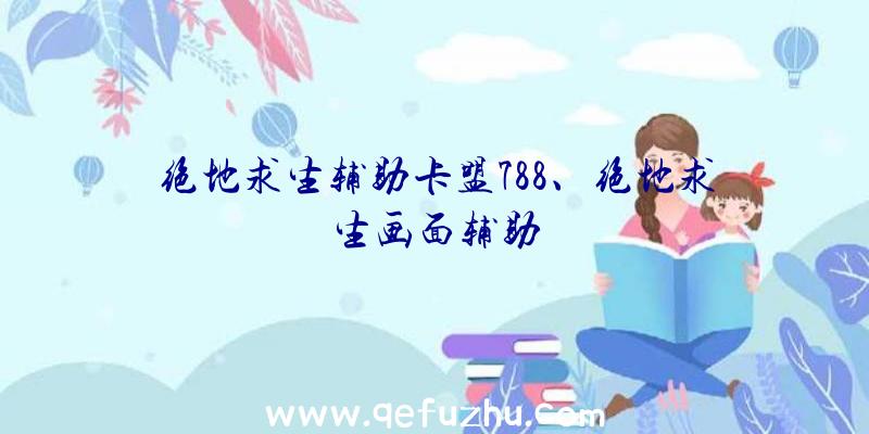 绝地求生辅助卡盟788、绝地求生画面辅助
