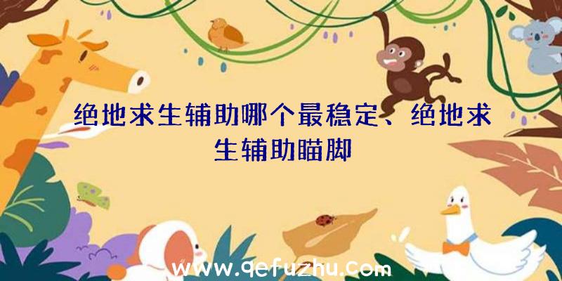 绝地求生辅助哪个最稳定、绝地求生辅助瞄脚