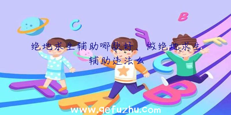 绝地求生辅助哪款好、做绝地求生辅助违法么