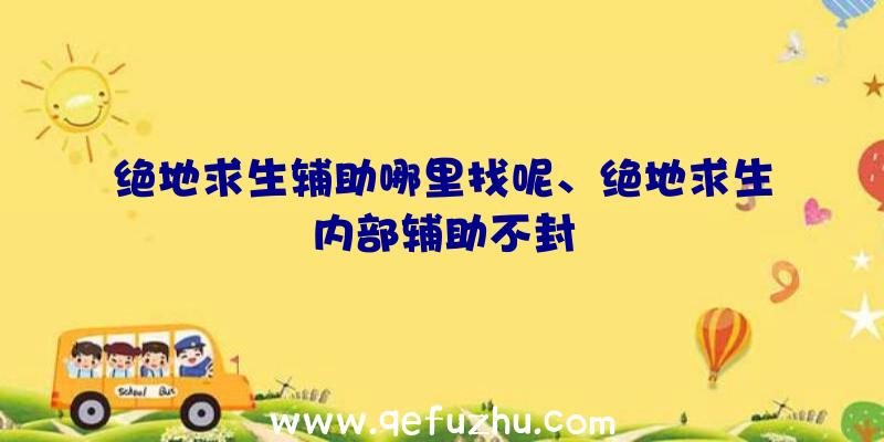 绝地求生辅助哪里找呢、绝地求生内部辅助不封