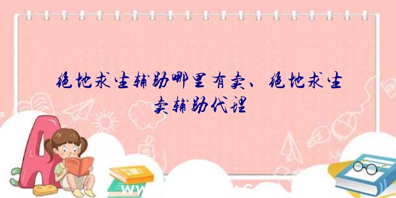 绝地求生辅助哪里有卖、绝地求生卖辅助代理