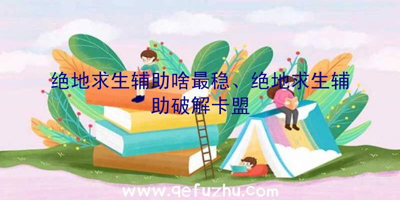 绝地求生辅助啥最稳、绝地求生辅助破解卡盟