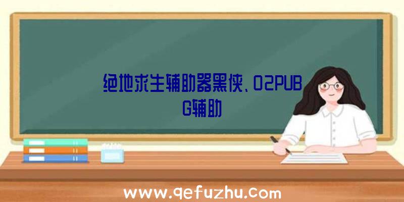 绝地求生辅助器黑侠、02PUBG辅助