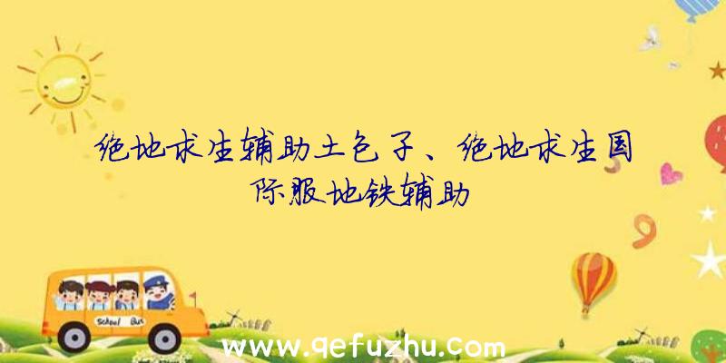 绝地求生辅助土包子、绝地求生国际服地铁辅助