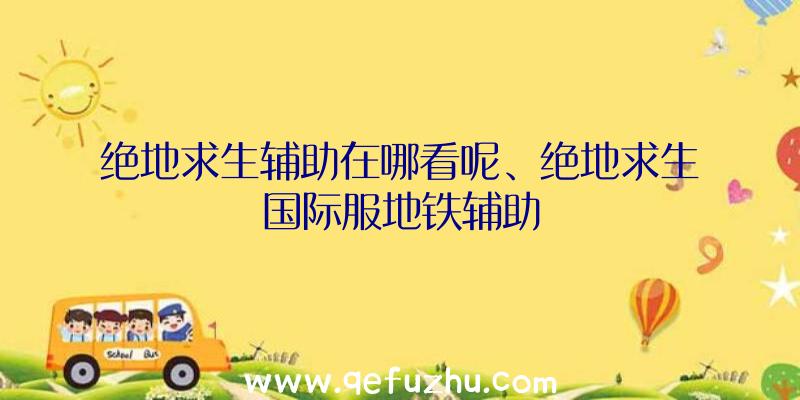 绝地求生辅助在哪看呢、绝地求生国际服地铁辅助
