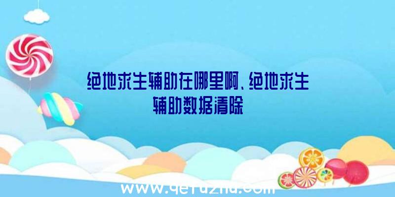 绝地求生辅助在哪里啊、绝地求生辅助数据清除