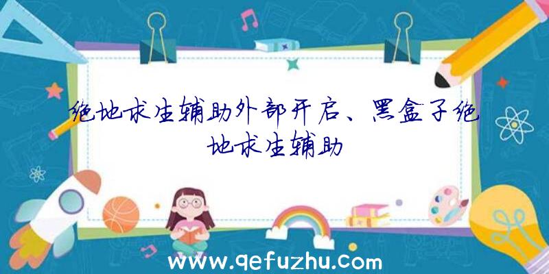 绝地求生辅助外部开启、黑盒子绝地求生辅助