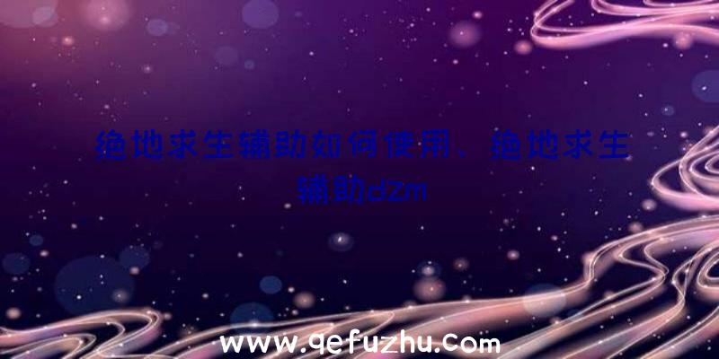 绝地求生辅助如何使用、绝地求生辅助dzm